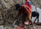 Di Usia 85 Tahun Karmudi Tetap Mengayun Cangkul Demi Suksesnya TMMD