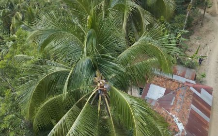 Jalan TMMD Buka Harapan Baru bagi Penderes Nira Gumelem Kulon