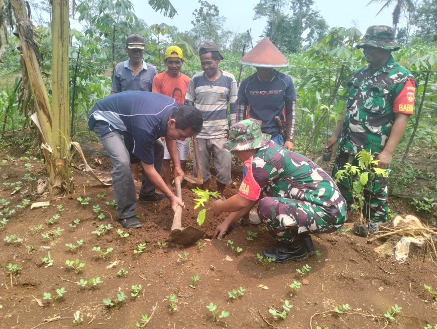 Tanam Pohon di Tengah TMMD Serma Susilo Tinggalkan Warisan Hijau untuk Desa